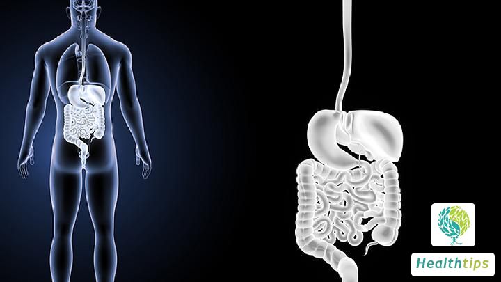 What Causes the Hardness in the Large Intestine?