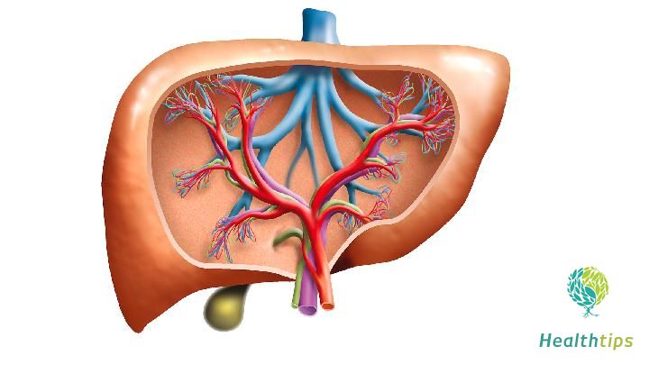 What Does a High Hepatitis B Core Antibody Mean?