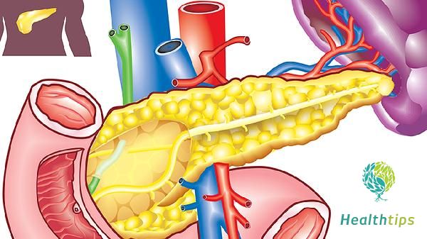 Can Insulin Resistance Be Cured?