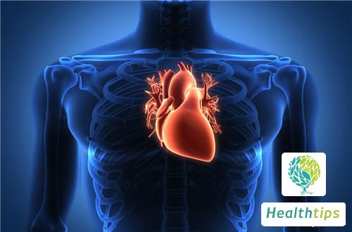 What Are the Differences Between Lung Heat and Lung Dryness?