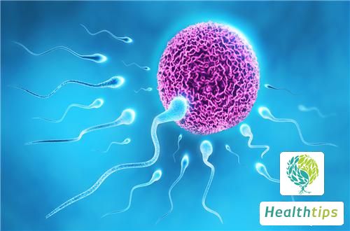 How Can I Improve the Quality of My Sperm?