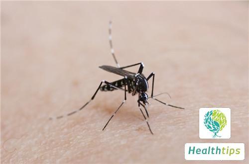 How Can I Prevent Mosquito Bites Most Effectively?