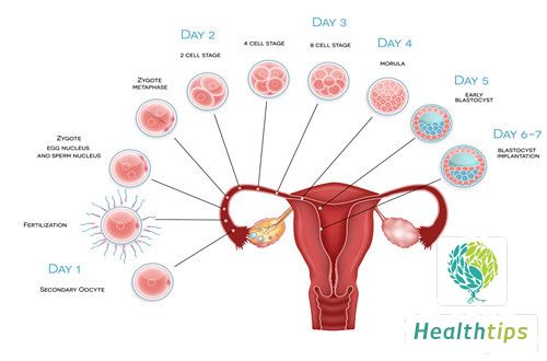 Can Someone with Ovarian Cysts Have Children?