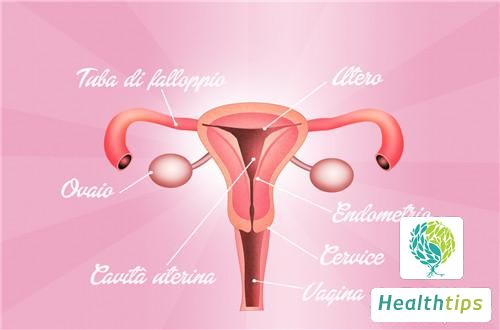 Why Is My Uterus Enlarged? What Should I Do?