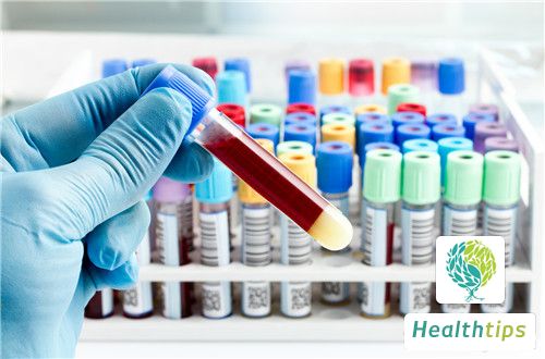 What Are the Components of a Blood Routine Test?