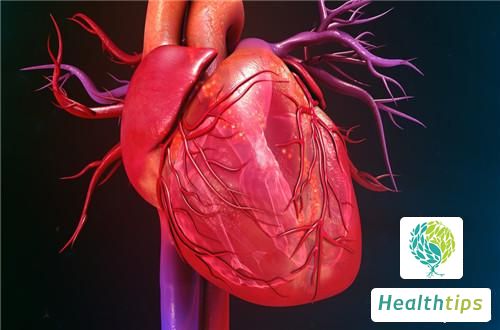 How much does cardiovascular angiography cost?