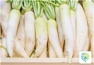 What Are the Benefits and Functions of Radish?