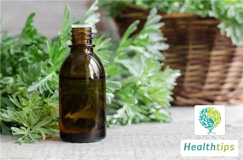 What Are the Benefits of Using Boiled Mugwort Water to Wash Your Hair?