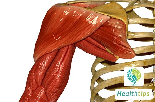 Can Massaging the Trapezius Muscle Reduce Its Size?