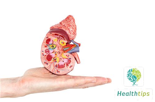 What is Kidney Acidity? How Can It Be Treated?