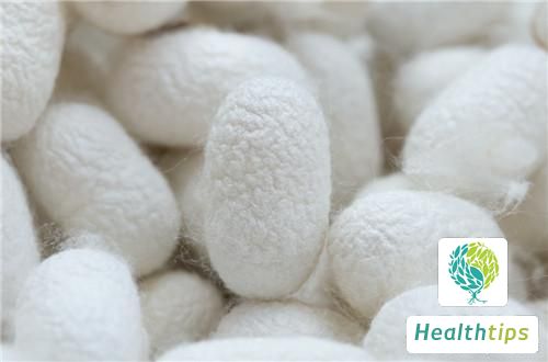 What are the Benefits and Functions of Silkworms?