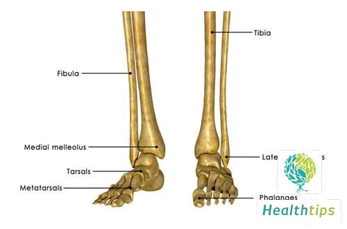 How to Manage Congenital Metatarsal Shortening Syndrome?