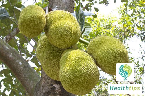 What Are the Benefits of the Shell of Jackfruit?