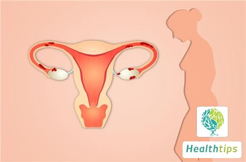 Why does the endometrium exhibit a Y-shaped appearance?