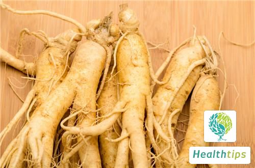 What Are the Benefits and Precautions of Pseudostellaria Heterophylla Root?