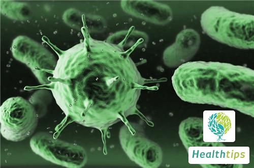 What Does Elevated Antibody Level of Cytomegalovirus Mean?