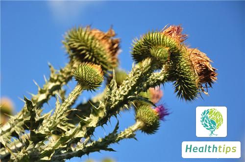 What Are the Benefits and Side Effects of Using Sesame Oil and Xanthium Seeds for Nasal Drops?