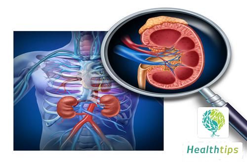 What is Organ Transplant Rejection?