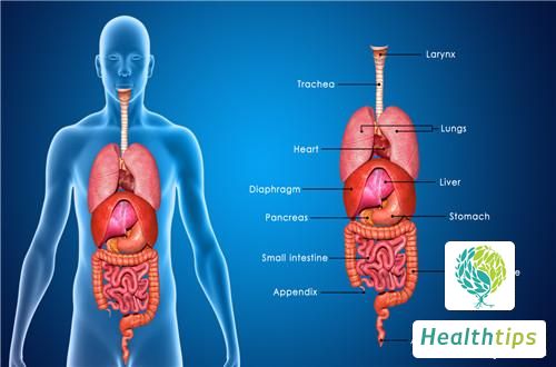 What are the Pros and Cons of Gallbladder-Preserving Polyp Removal Surgery?