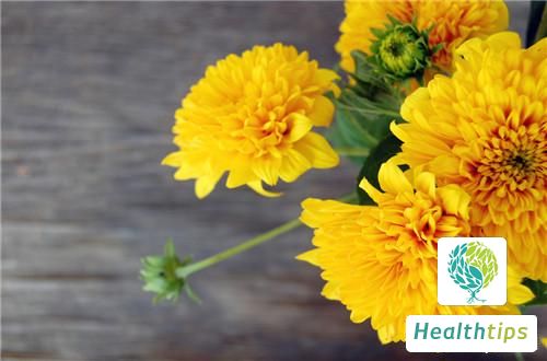 What Are the Benefits of Yellow Chrysanthemums?