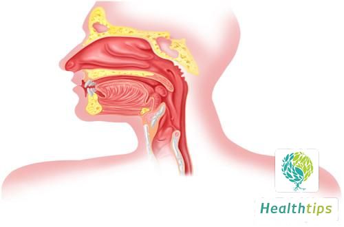 Which Department Should I Visit for a Vocal Cord Examination?