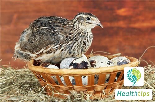 What Are the Benefits and Effects of Quail?