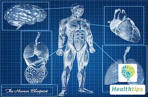 What Are the Common Symptoms of Blocked Large Intestine Meridian?