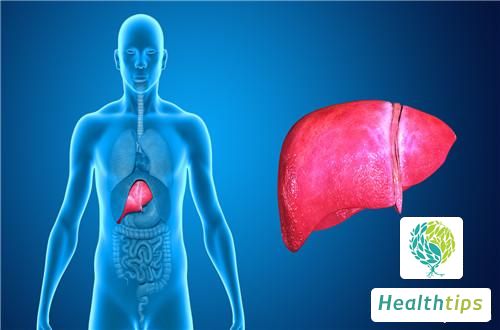 What Does It Mean When AST Levels Are High in Liver Function Tests?