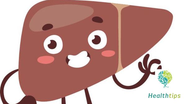 What does Heterogeneous Fatty Liver Mean?