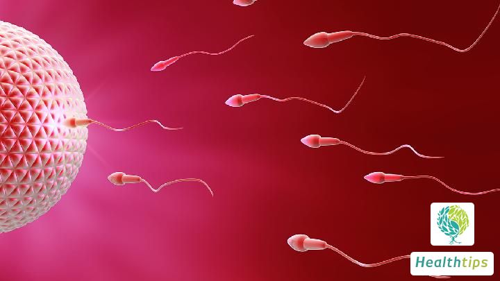 What are the symptoms of male infertility?